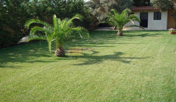 Κήπος - Garden